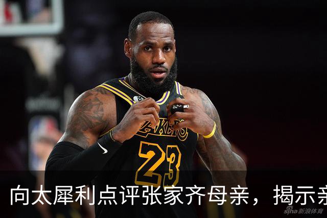 向太犀利点评张家齐母亲，揭示亲情背后的无奈与真实